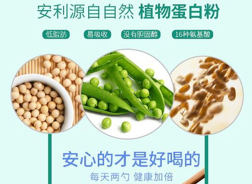 伊春安利日用品直营店网点