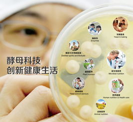 安琪双业务联袂亮相CPHI展会，微生物营养与营养健康共绘行业新蓝图